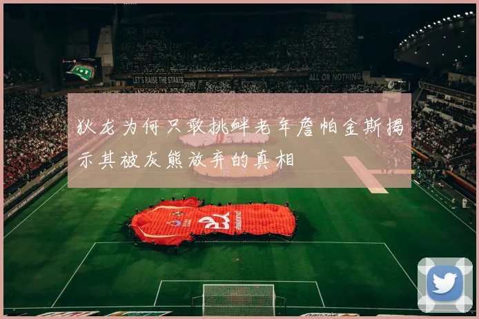 狄龙为何只敢挑衅老年詹帕金斯揭示其被灰熊放弃的真相