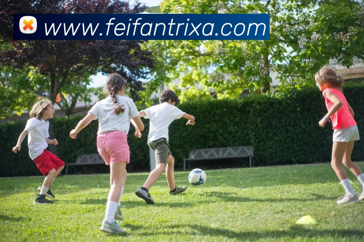 非凡体育平台生态图